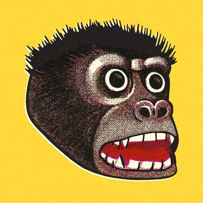Framed Print : Ape Head Framed Print : Ape Head
