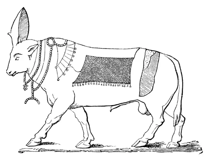 Framed Print : Apis bull. Illustration of a apis bull Framed Print : Apis bull. Illustration of a apis bull