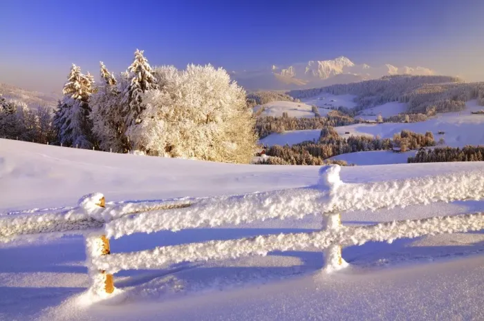 Framed Print : Appenzell winter landscape in evening light with view on the Santis, fence with hoarfrost in the foreground, Canton Appenzell, Switzerland Framed Print : Appenzell winter landscape in evening light with view on the Santis, fence with hoarfrost in the foreground, Canton Appenzell, Switzerland