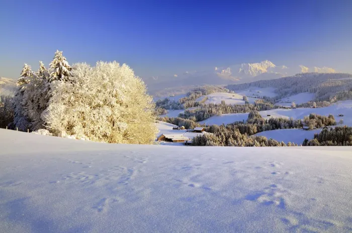 Framed Print : Appenzeller winter landscape in evening light with view on the Santis, Appenzell, Switzerland Framed Print : Appenzeller winter landscape in evening light with view on the Santis, Appenzell, Switzerland