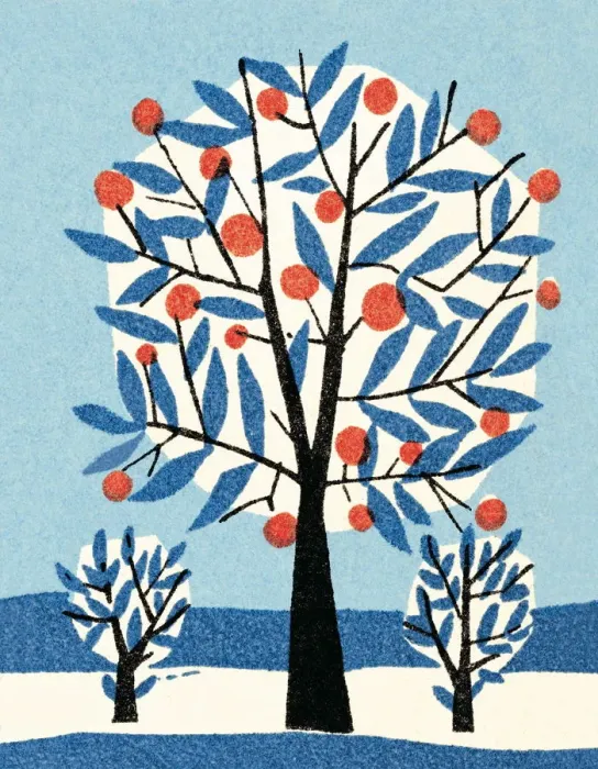 Framed Print : Apple tree in winter Framed Print : Apple tree in winter