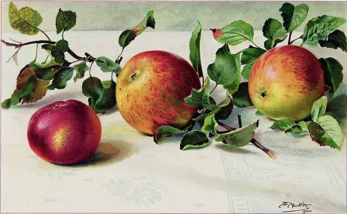 Framed Print : Apples Lying on Table Framed Print : Apples Lying on Table