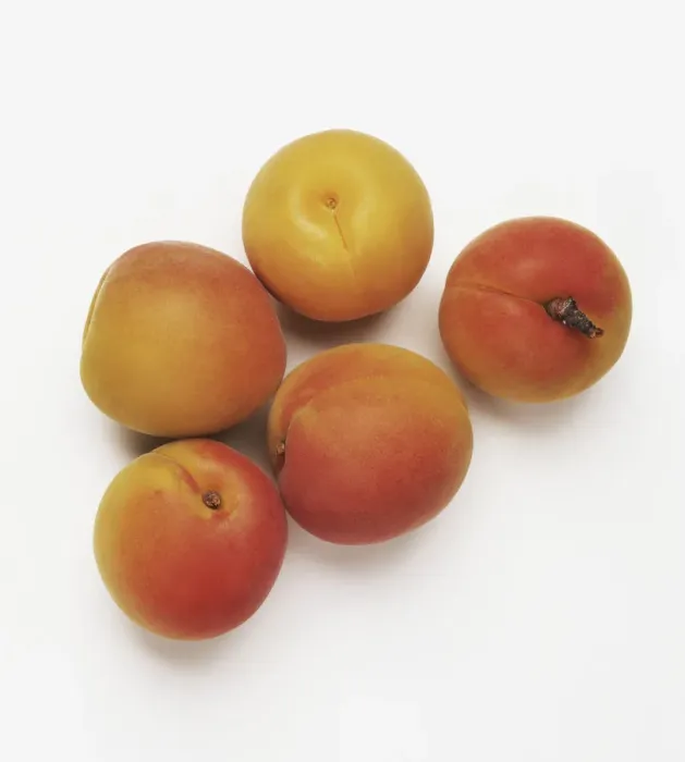 Framed Print : Five apricots Framed Print : Five apricots