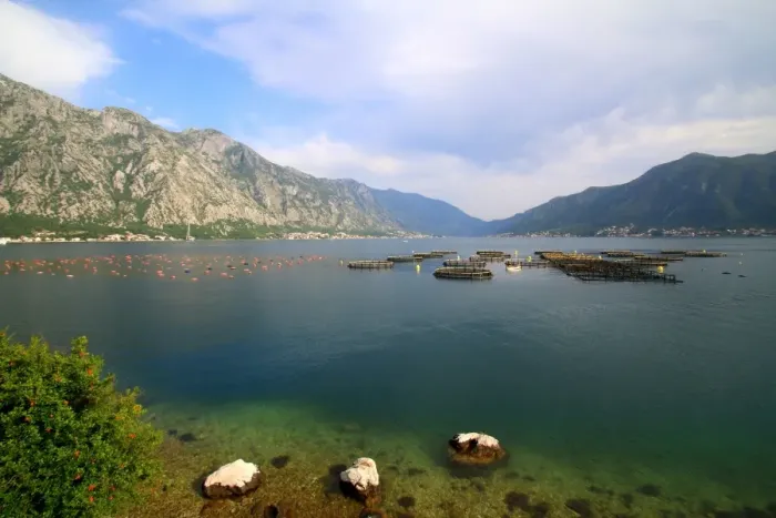 Framed Print : Aquaculture in the bay of Kotor, Montenegro Framed Print : Aquaculture in the bay of Kotor, Montenegro