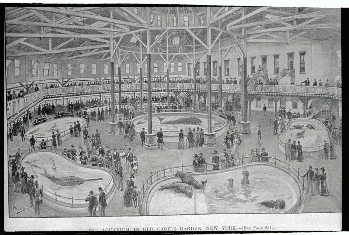 Framed Print : Aquarium in Castle Garden Framed Print : Aquarium in Castle Garden