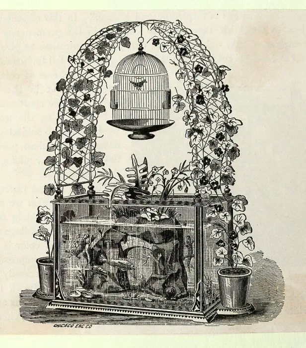 Framed Print : Aquarium with Trellis and Hanging Bird Cage Framed Print : Aquarium with Trellis and Hanging Bird Cage