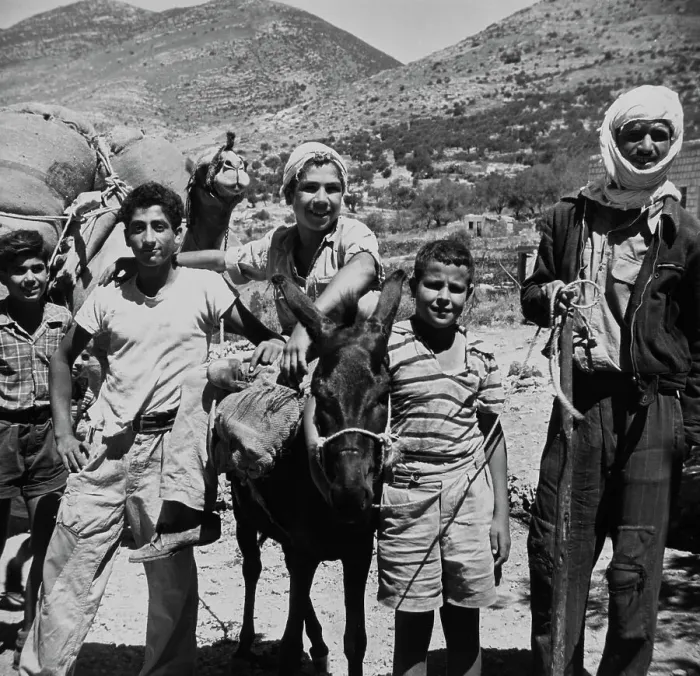 Framed Print : Arab Boys In Galilee Hills Framed Print : Arab Boys In Galilee Hills