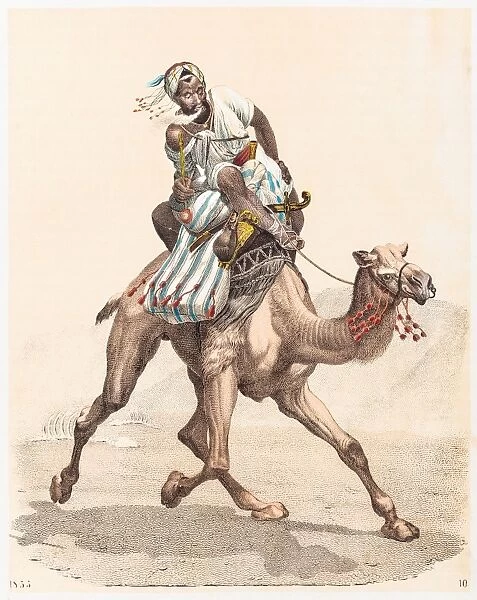 Arabian camel engraving 1853