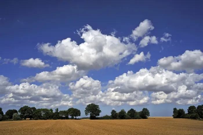 Framed Print : Arable field and a row of trees with cumulus clouds, Othenstorf, Mecklenburg-Western Pomerania, Germany Framed Print : Arable field and a row of trees with cumulus clouds, Othenstorf, Mecklenburg-Western Pomerania, Germany