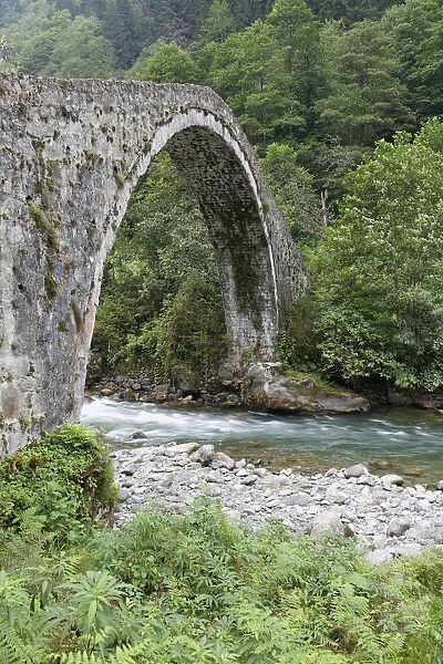 Arch bridge over the river Firtina, Firtina Valley, Rize Province, Pontic Mountains, Black Sea Region, Turkey