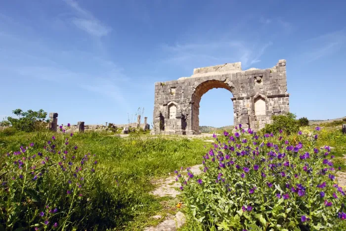 Framed Print : Arch of Caracalla, Volubilis Framed Print : Arch of Caracalla, Volubilis
