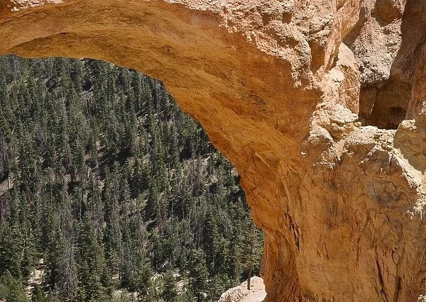 The Arch Of The Natural Bridge Of Bryce Canyon