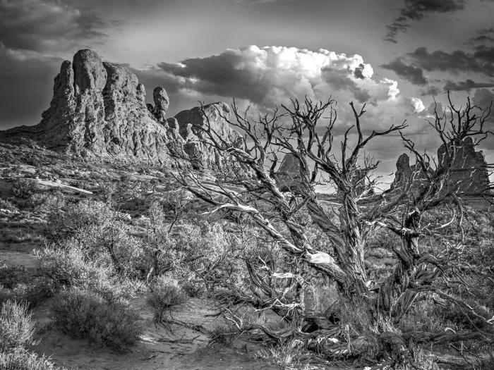 Framed Print : Arches National Park Framed Print : Arches National Park