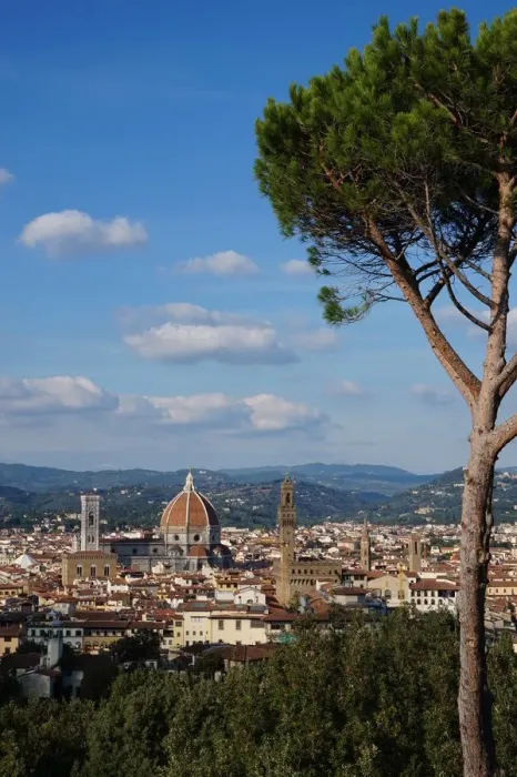 Framed Print : Architectural Highlights of Florence, Tree, Italy Framed Print : Architectural Highlights of Florence, Tree, Italy