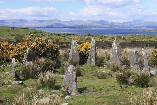 Ardgroom Stone Circle, Beara Peninsula, County Cork, Ireland, British Isles, Europe