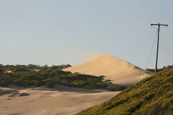 arid, beach, color image, colour image, copy space, day, desert, dunes, eastern cape