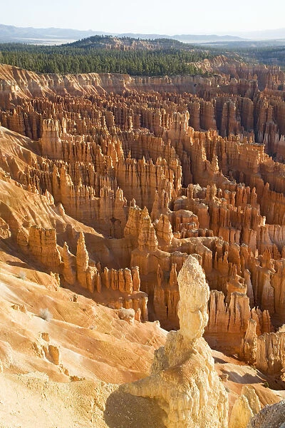 arid, bryce canyon, bryce canyon national park, canyon, color image, day, elevated view