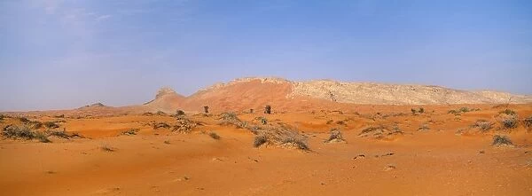 Arid Desert Dune Landscape