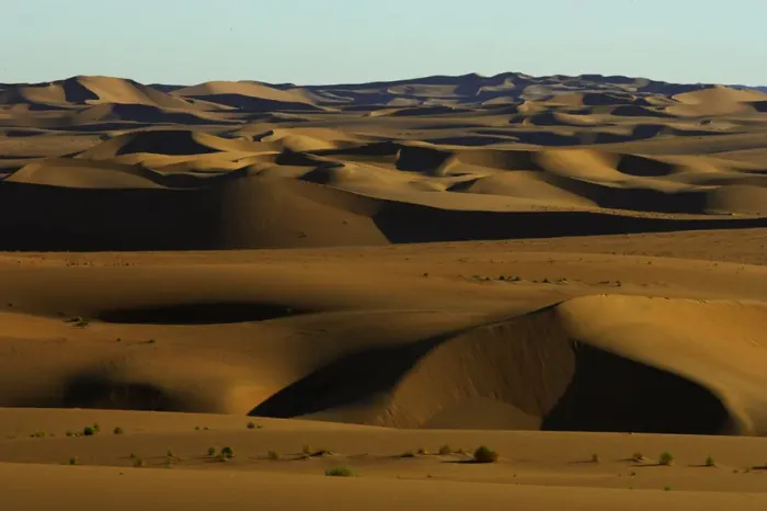 Framed Print : arid environment, day, desert, dunes, horizontal, landscape, namibia, nature, no people Framed Print : arid environment, day, desert, dunes, horizontal, landscape, namibia, nature, no people