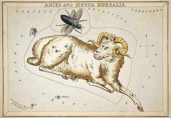 Aries, the First Sign of the Zodiac