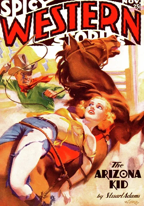 Framed Print : The Arizona Kid Framed Print : The Arizona Kid