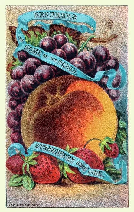 Framed Print : Arkansas, the home of the peach, strawberry and vine Framed Print : Arkansas, the home of the peach, strawberry and vine