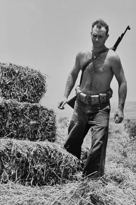 Framed Print : Armed Farmer Making Hay