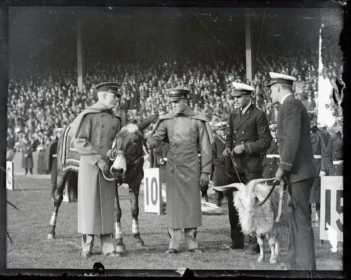 Framed Print : Army Navy Men with Football Mascots on Field