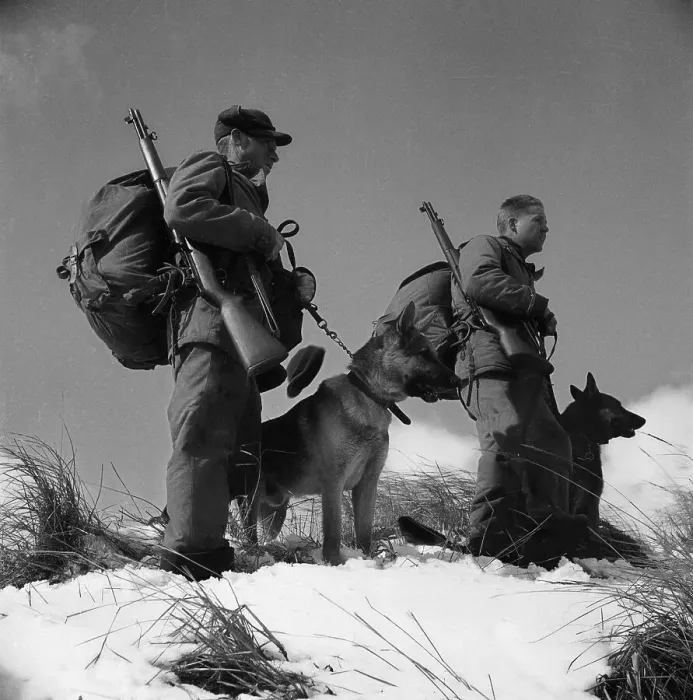 Framed Print : Army Soldiers with Trained Dogs Framed Print : Army Soldiers with Trained Dogs