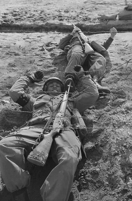 Framed Print : Army Trainees Crawling under Wire Framed Print : Army Trainees Crawling under Wire