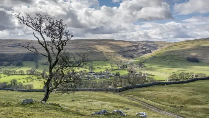 Framed Print : Arncliffe Tree Framed Print : Arncliffe Tree