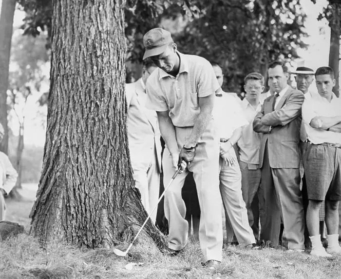 Framed Print : Arnold Palmer Shooting Beneath Tree Framed Print : Arnold Palmer Shooting Beneath Tree