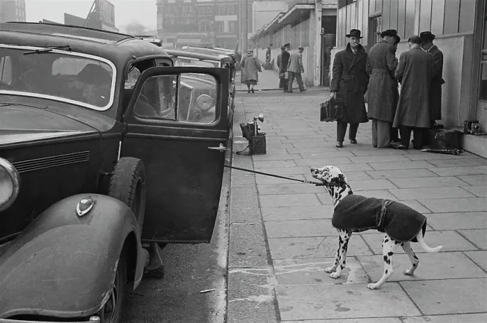 Framed Print : Arrival At Crufts Framed Print : Arrival At Crufts