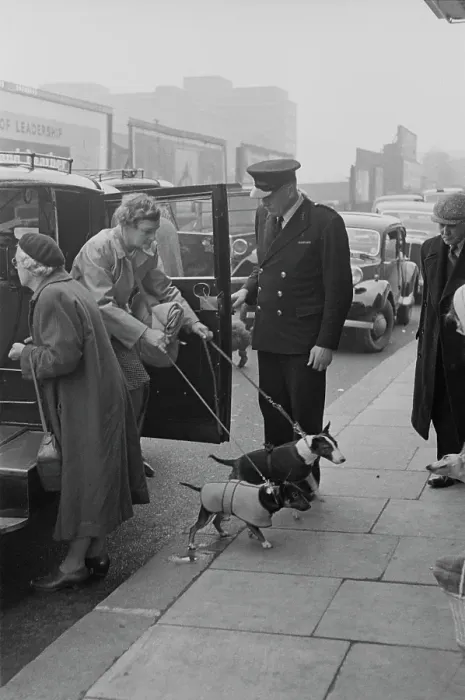 Framed Print : Arriving At Crufts Framed Print : Arriving At Crufts