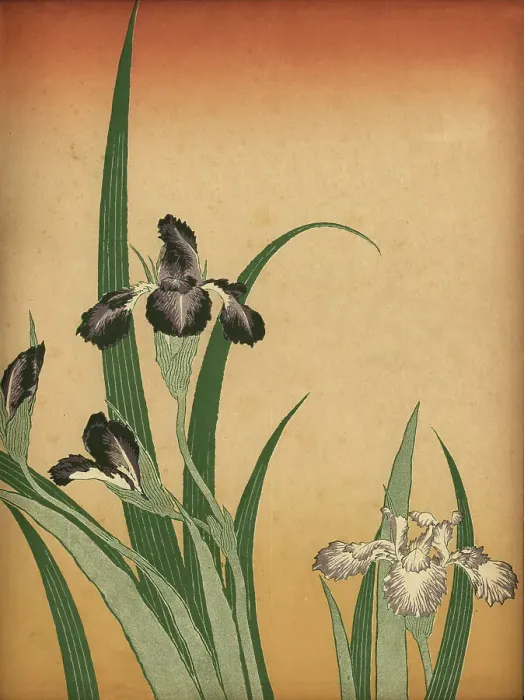 Framed Print : Art of Japan, Orchid flowers Framed Print : Art of Japan, Orchid flowers