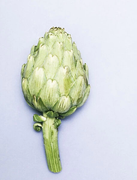 Artichoke fotographed from a top angle against a light blue background