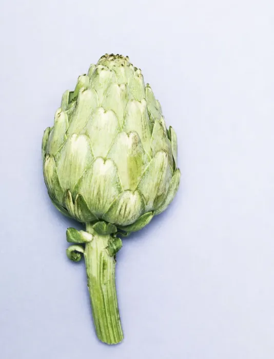 Framed Print : Artichoke fotographed from a top angle against a light blue background