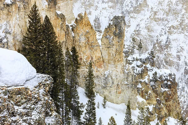 Artist Point view in winter snow, Yellowstone National Park, Wyoming, USA
