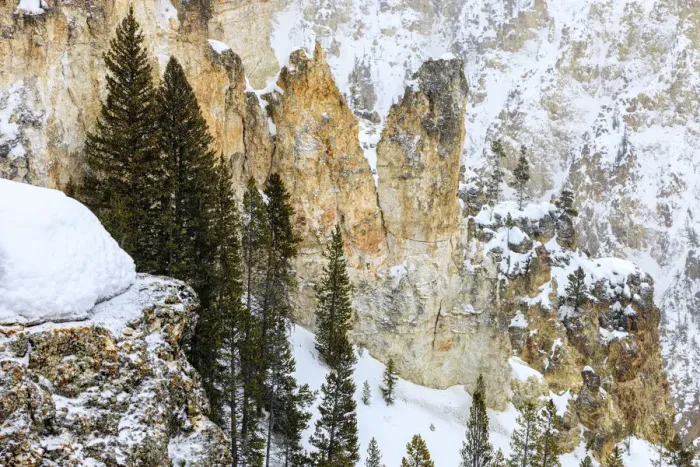 Framed Print : Artist Point view in winter snow, Yellowstone National Park, Wyoming, USA Framed Print : Artist Point view in winter snow, Yellowstone National Park, Wyoming, USA