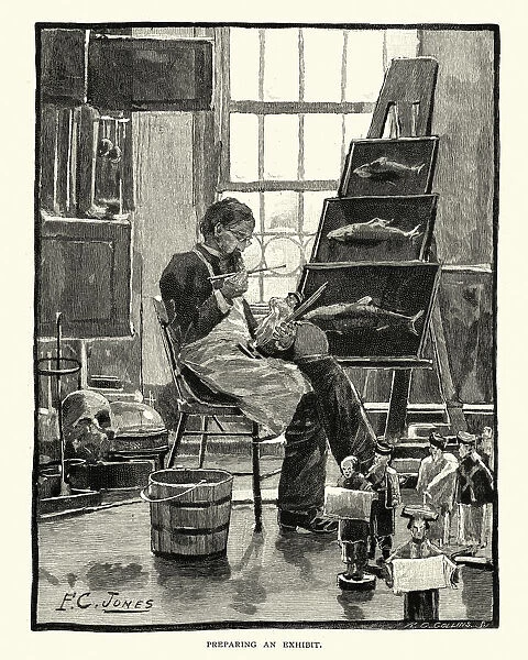 Artist preparing an exhibit, Smithsonian Institution, 1884