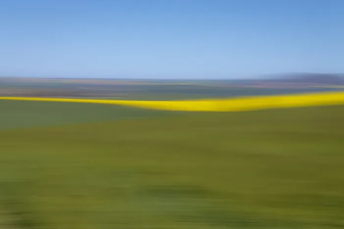 Framed Print : An artistic expression of Canola and Wheat fields in the early Spring with the bold yellow colors of canola offset by the emerald green of the wheat, Swellendam, Western Cape Province, South Africa Framed Print : An artistic expression of Canola and Wheat fields in the early Spring with the bold yellow colors of canola offset by the emerald green of the wheat, Swellendam, Western Cape Province, South Africa