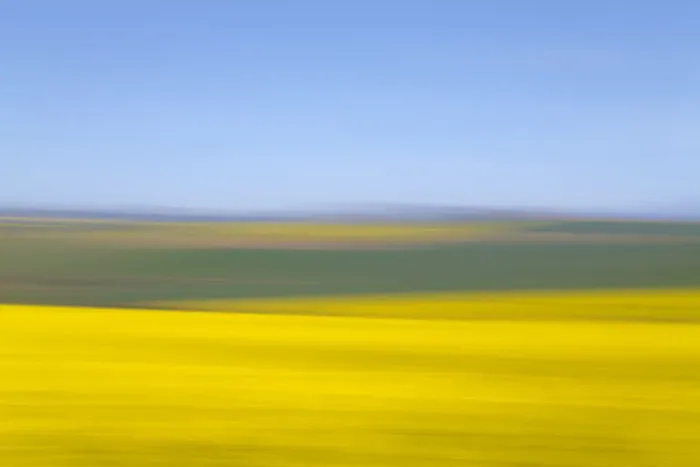 Framed Print : An artistic expression of Canola and Wheat fields in the early Spring with the bold yellow colors of canola offset by the emerald green of the wheat, Swellendam, Western Cape Province, South Africa