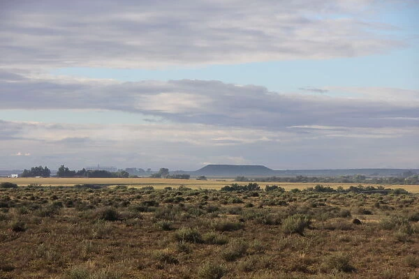 An artistic landscape of the scrub and farmlands around Hopetown in the Northern