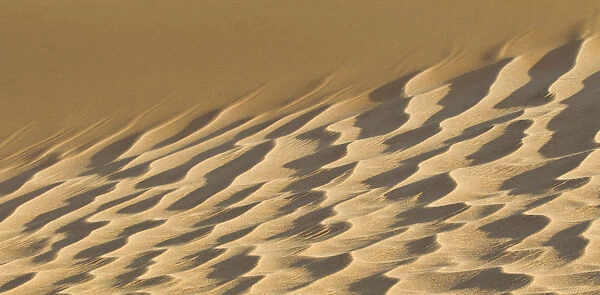 Artistic sand dune
