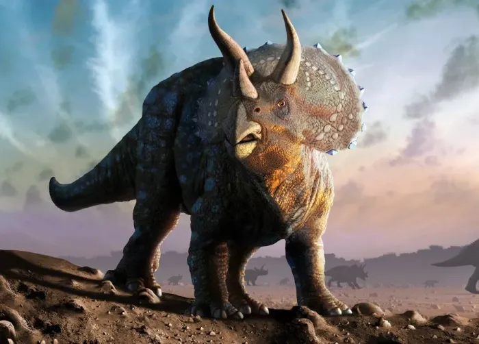 Framed Print : Artwork of a triceratops Framed Print : Artwork of a triceratops