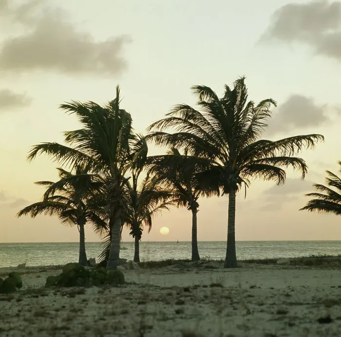 Framed Print : Aruba, Netherlands Antilles