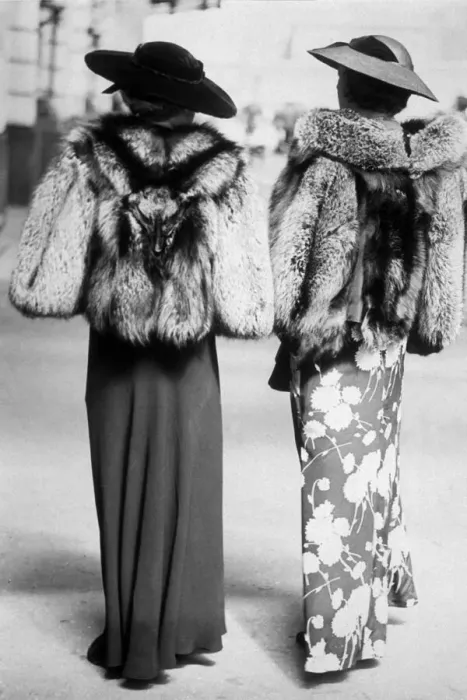 Framed Print : Ascot Fur Jackets Framed Print : Ascot Fur Jackets