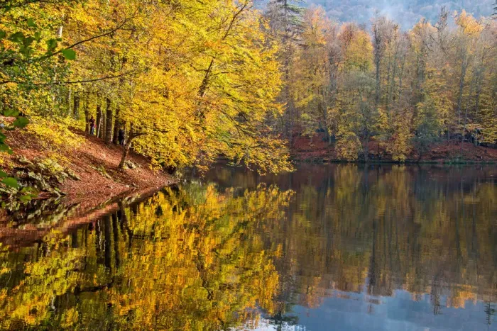 Framed Print : asia, autumn, autumn colors, beauty in nature, bolu, color image, colour image, eurasia Framed Print : asia, autumn, autumn colors, beauty in nature, bolu, color image, colour image, eurasia