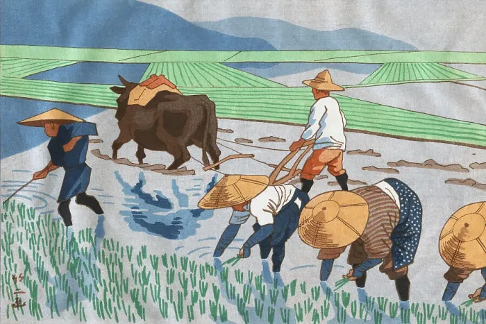 Framed Print : Asians Working in Rice Paddy Field Framed Print : Asians Working in Rice Paddy Field