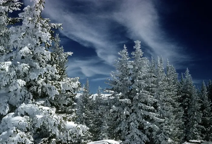 Framed Print : ASPEN COLORADO Framed Print : ASPEN COLORADO